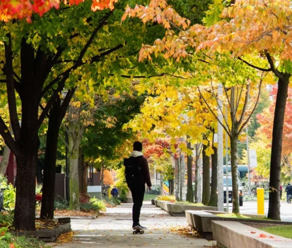 a student with a backpacks skateboards down a sidewalk under trees with fall colours